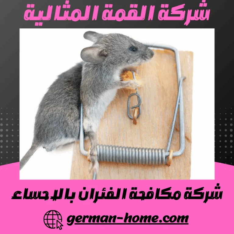 شركة مكافحة الفئران بالاحساء