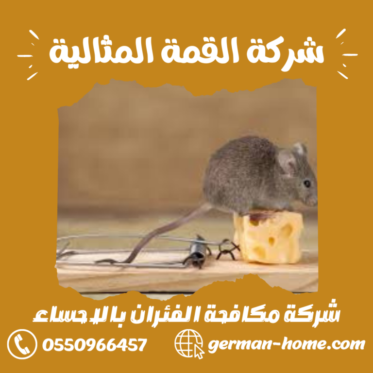شركة مكافحة الفئران بالاحساء 0550966457 ابادة الفئران و القوارض بالاحساء