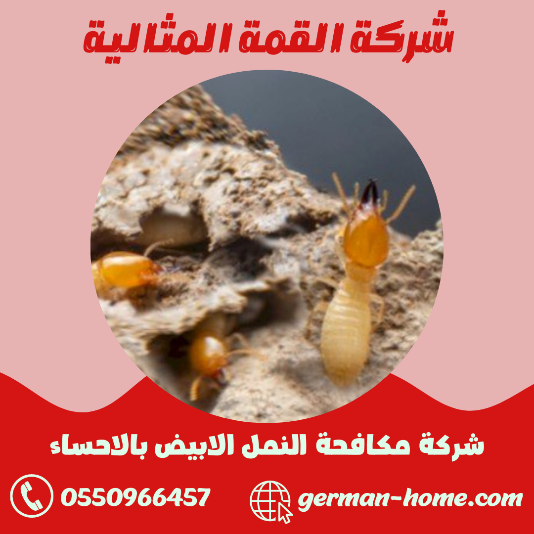 شركة مكافحة النمل الابيض بالاحساء رش الدفان و الارضة بالاحساء 11 شركة مكافحة النمل الابيض بالاحساء