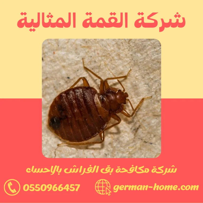 شركة مكافحة بق الفراش بالاحساء