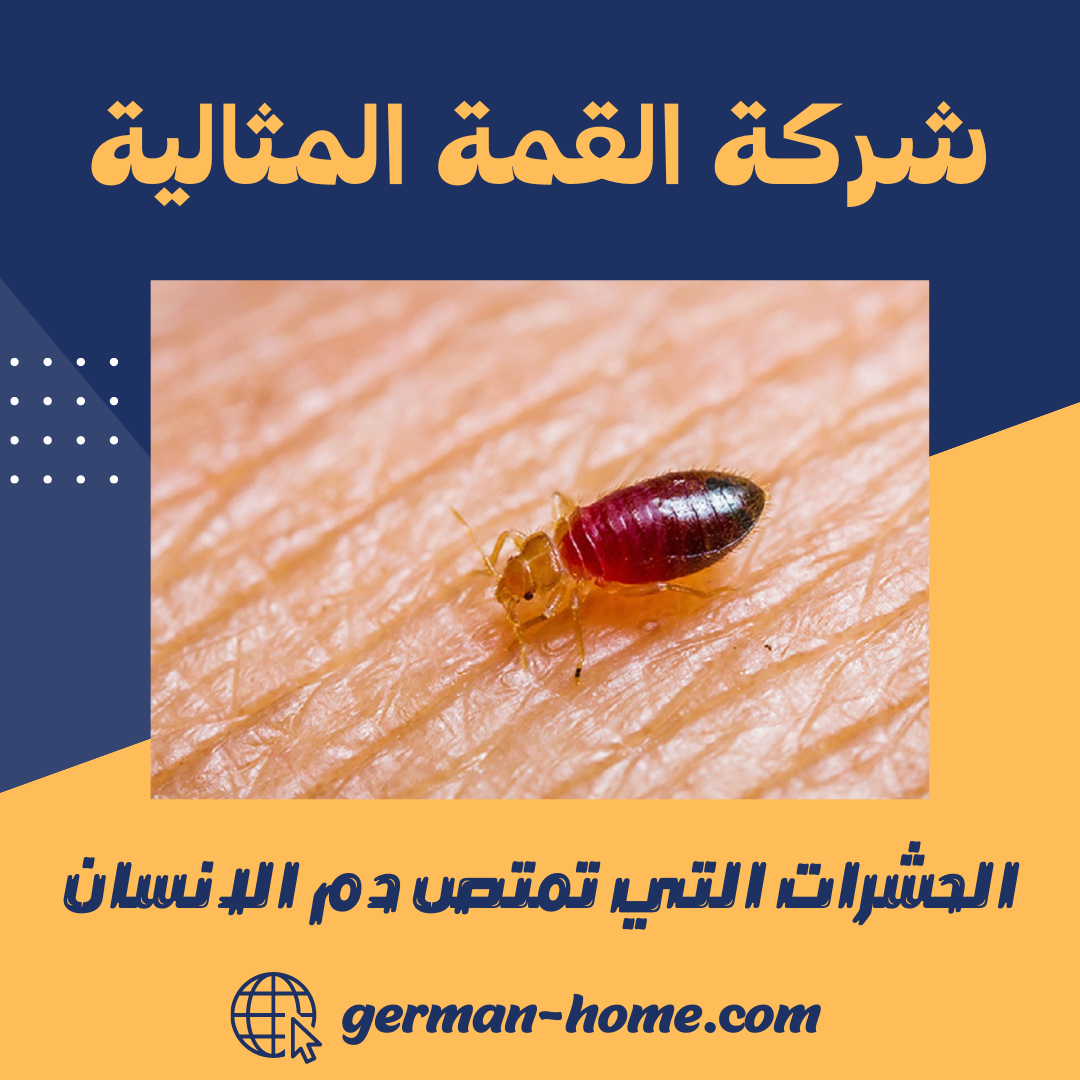 الحشرات التي تمتص دم الانسان