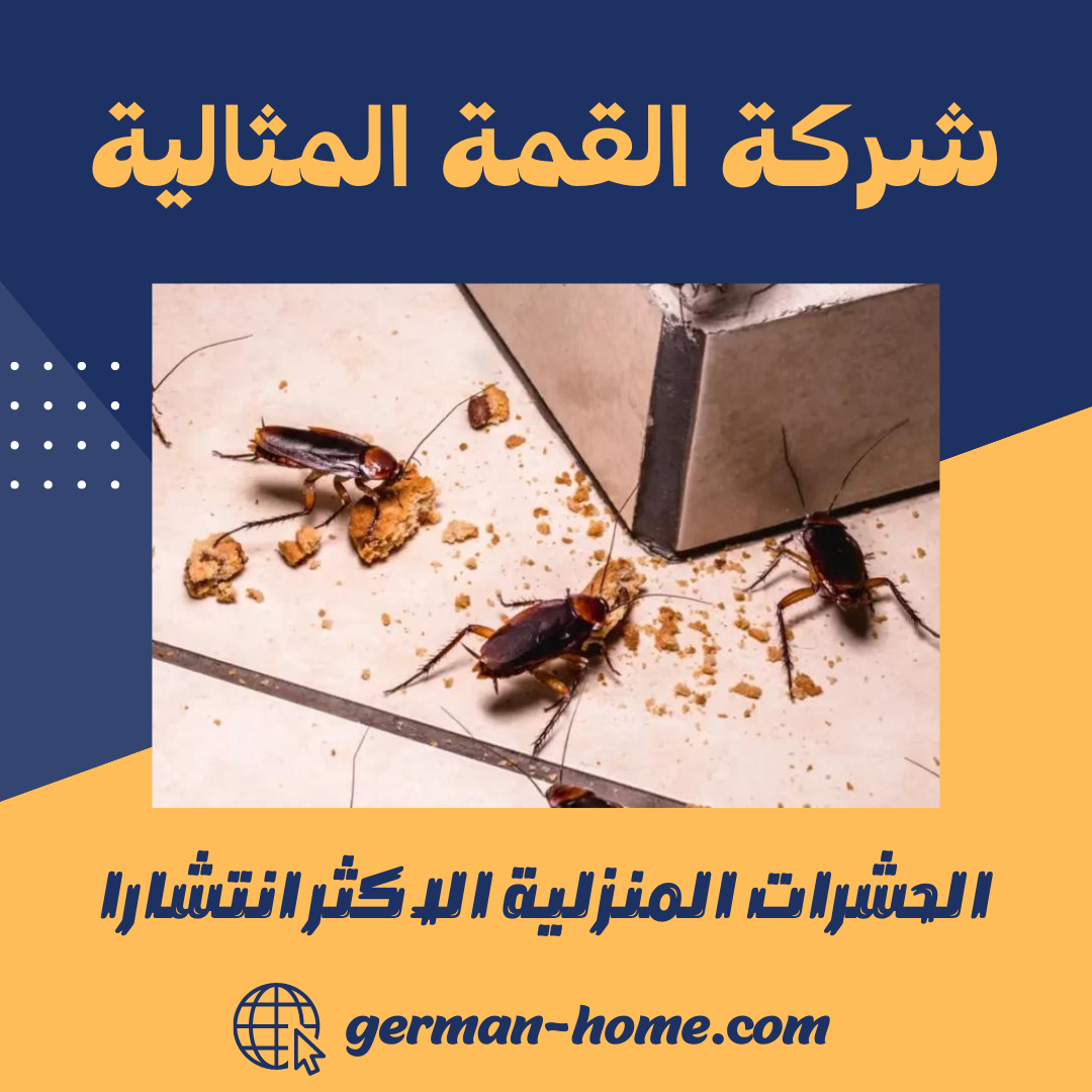 الحشرات المنزلية الاكثر انتشارا