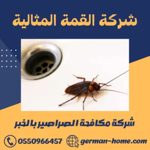 شركة مكافحة الصراصير بالخبر