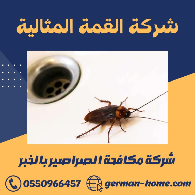 شركة مكافحة الصراصير بالخبر