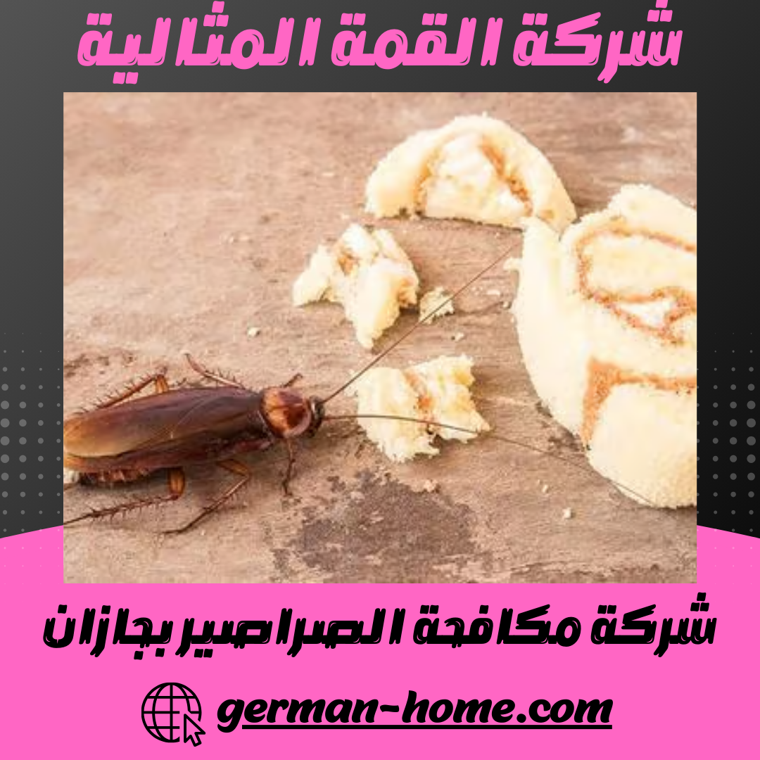 شركة مكافحة الصراصير بجازان رش و ابادة الصراصير بجازان 5 شركة مكافحة الصراصير بجازان