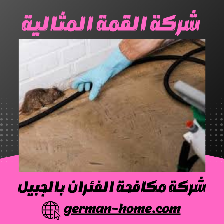 شركة مكافحة الفئران بالجبيل