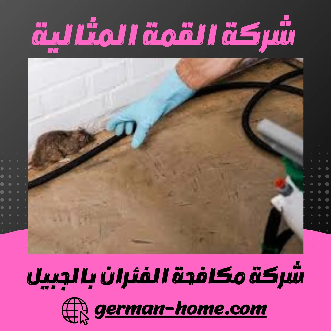شركة مكافحة الفئران بالجبيل