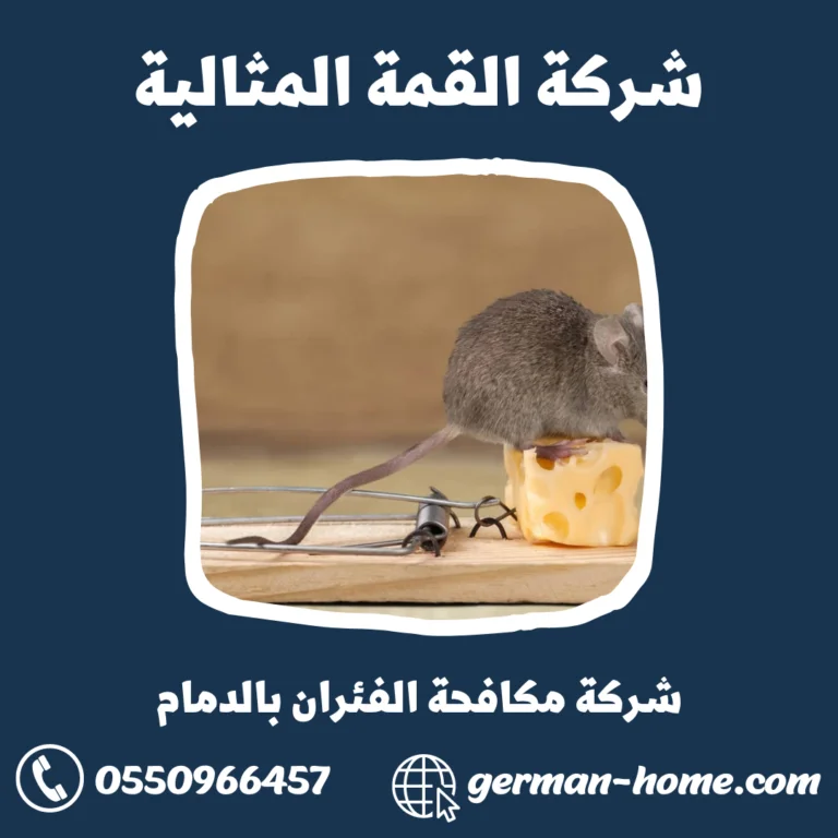 شركة مكافحة الفئران بالدمام