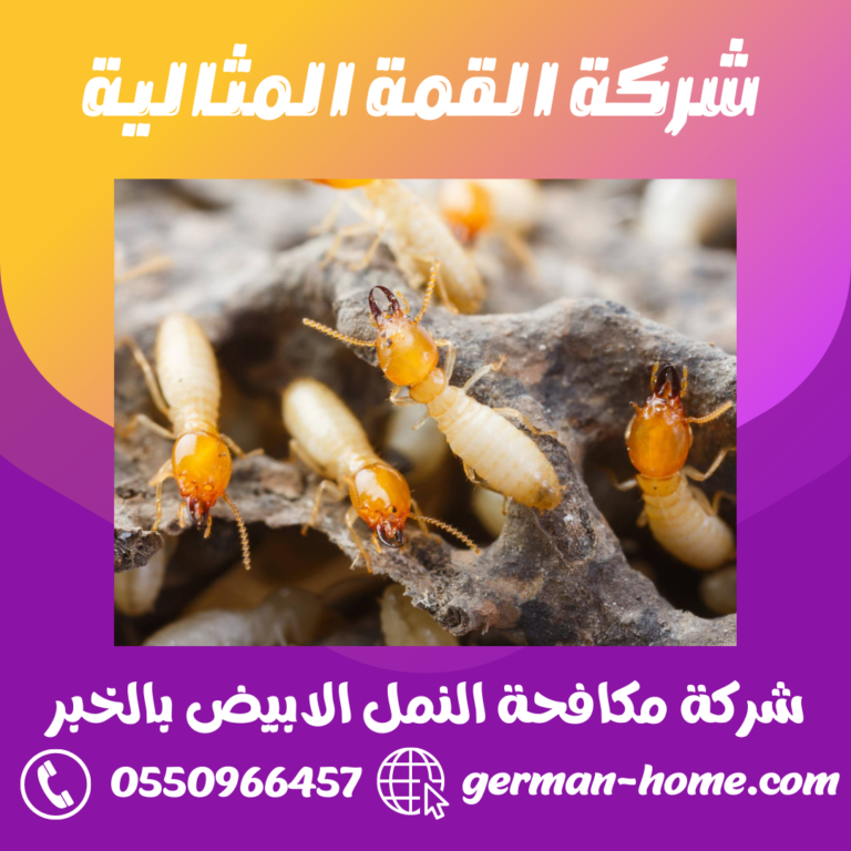 شركة مكافحة النمل الابيض بالخبر 0550966457 رش الدفان و الارضة بالخبر
