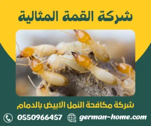شركة مكافحة النمل الابيض بالدمام