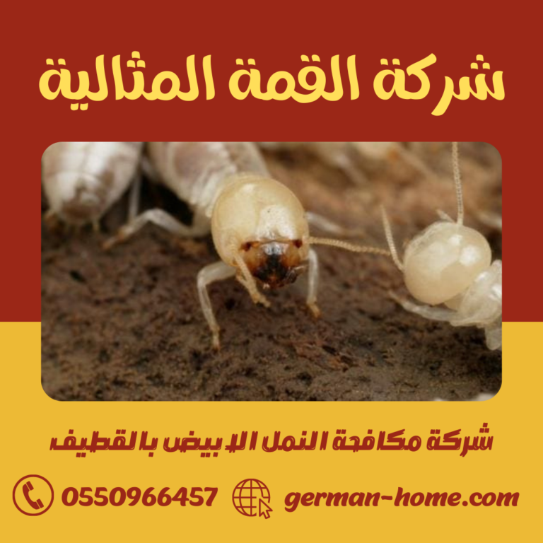 شركة مكافحة النمل الابيض بالقطيف 0550966457 رش الاراضي قبل البناء بالقطيف