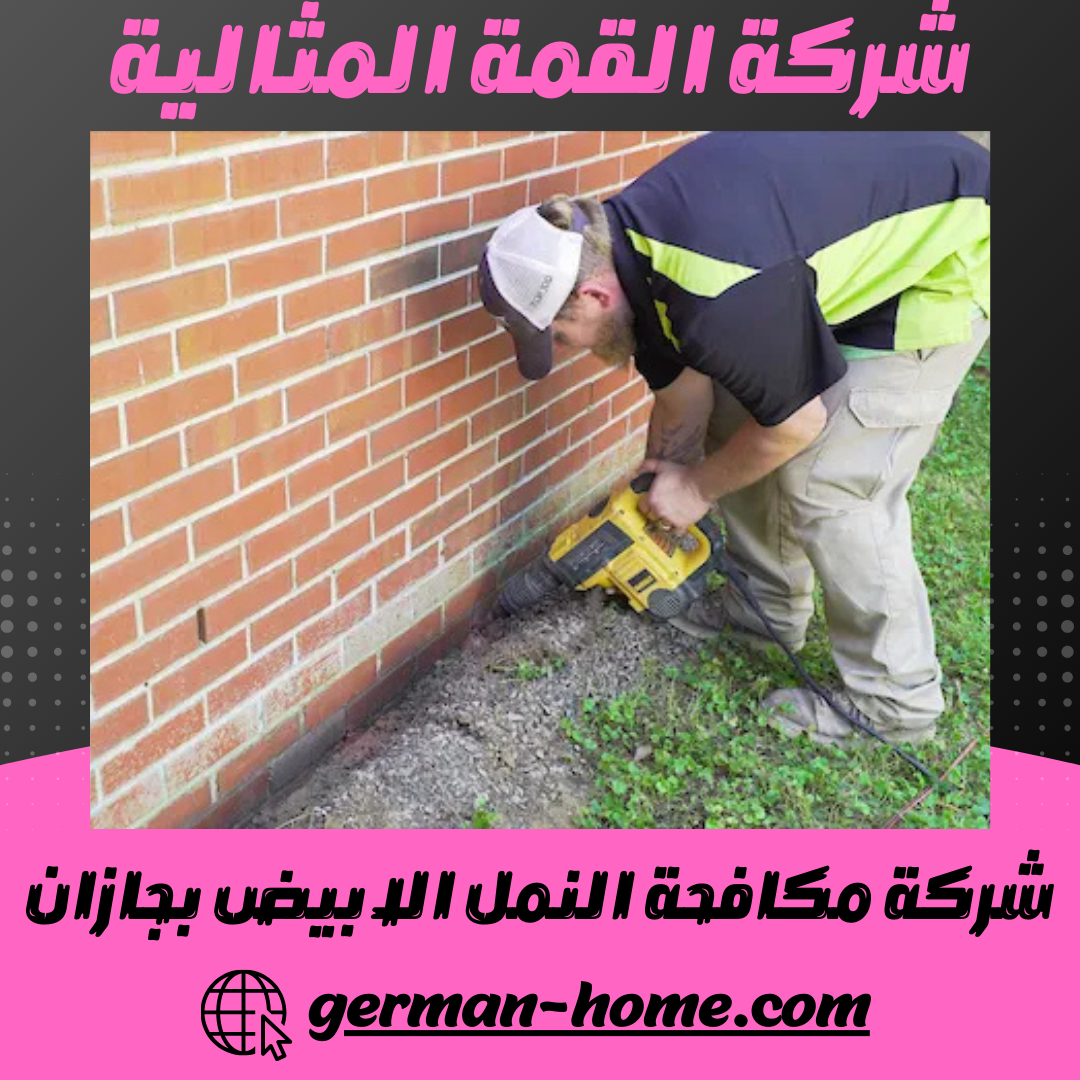 شركة مكافحة النمل الابيض بجازان رش الارضة والدفان بجازان 4 شركة مكافحة النمل الابيض بجازان