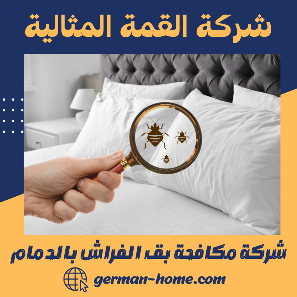 شركة مكافحة بق الفراش بالدمام