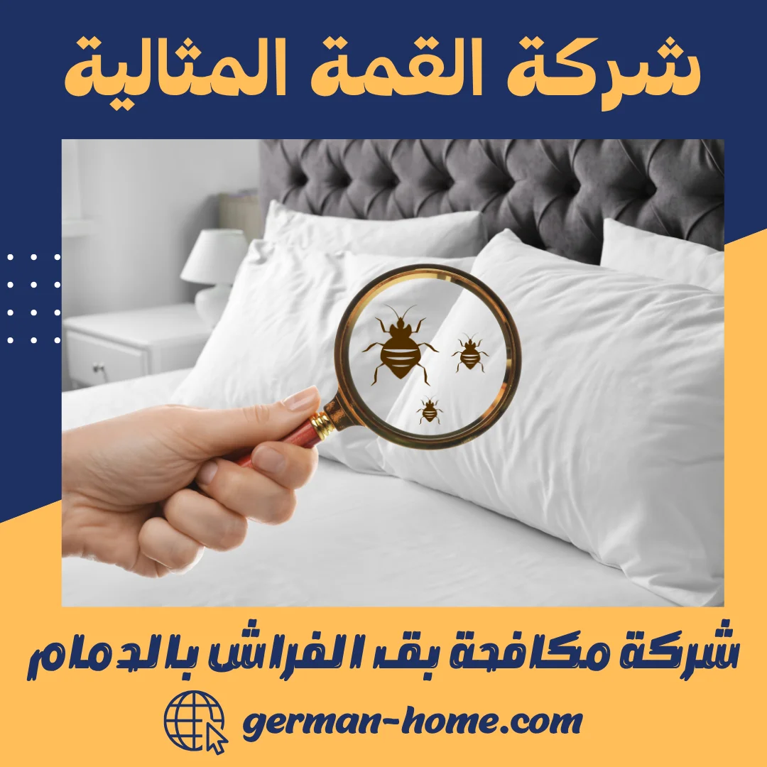 شركة مكافحة بق الفراش بالدمام