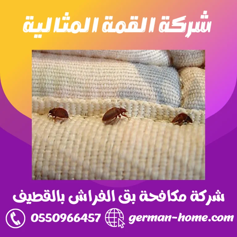 شركة مكافحة بق الفراش بالقطيف