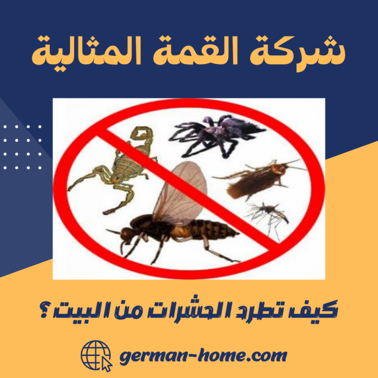كيف تطرد الحشرات من البيت؟
