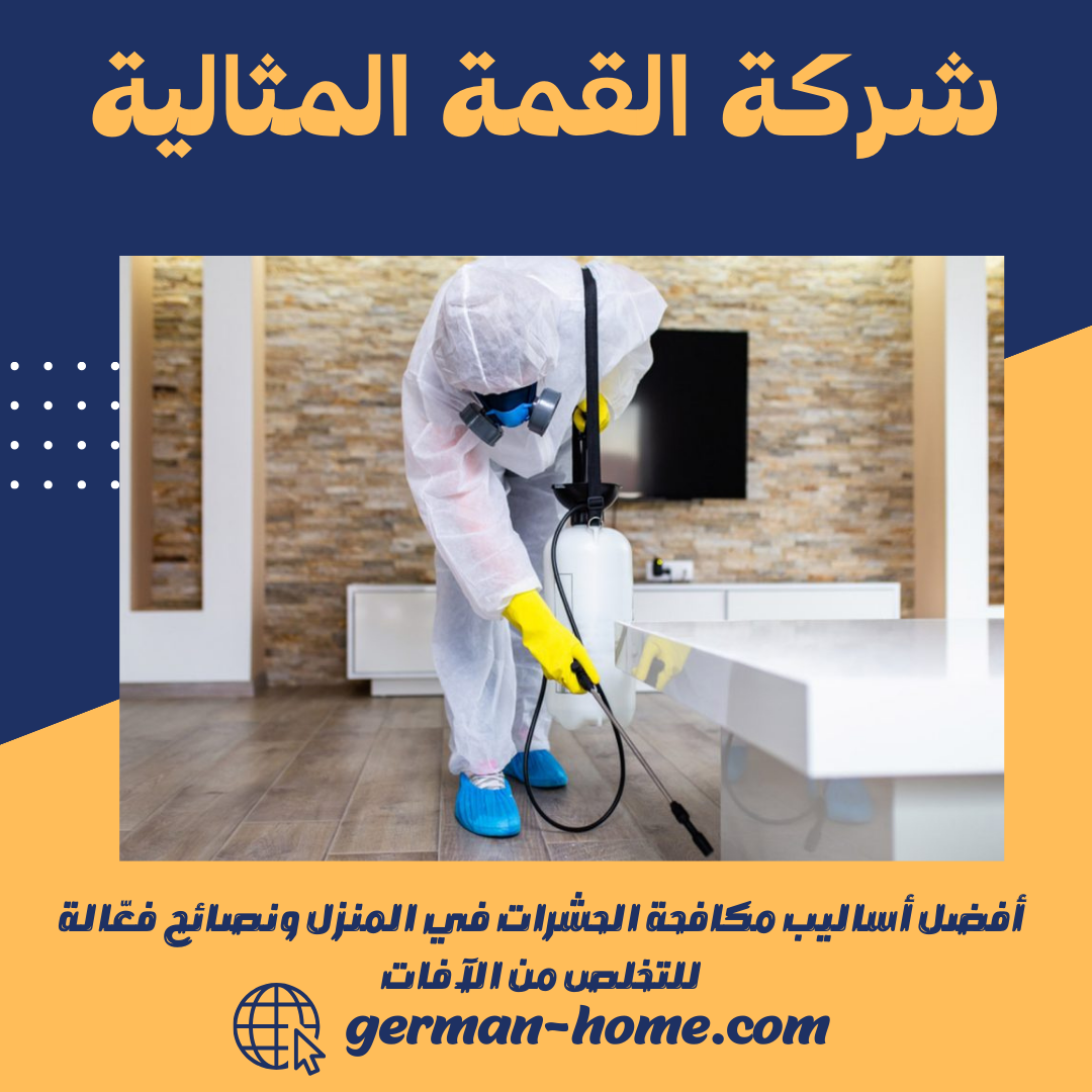 أفضل أساليب مكافحة الحشرات في المنزل