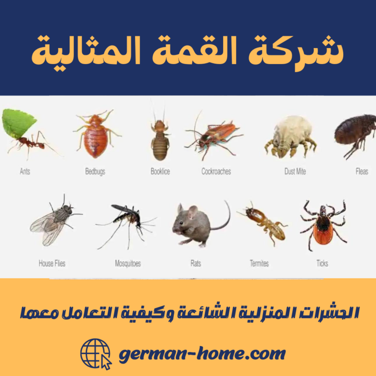 الحشرات المنزلية الشائعة وكيفية التعامل معها