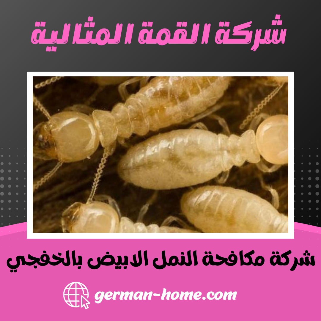 شركة مكافحة النمل الابيض بالخفجي