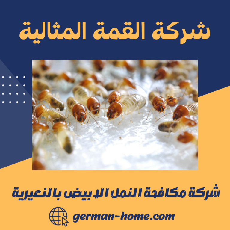 شركة مكافحة النمل الابيض بالنعيرية 0550966457 رش و ابادة النمل الابيض بالنعيرية