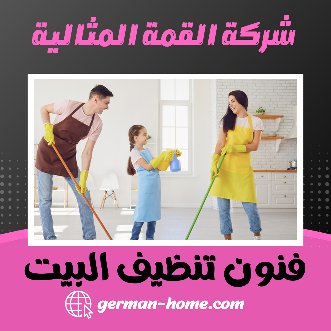 فنون تنظيف البيت