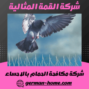 شركة مكافحة الحمام بالاحساء شركة مكافحة الحمام بالاحساء