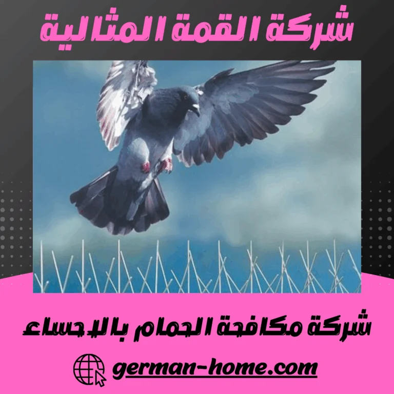 شركة مكافحة الحمام بالاحساء