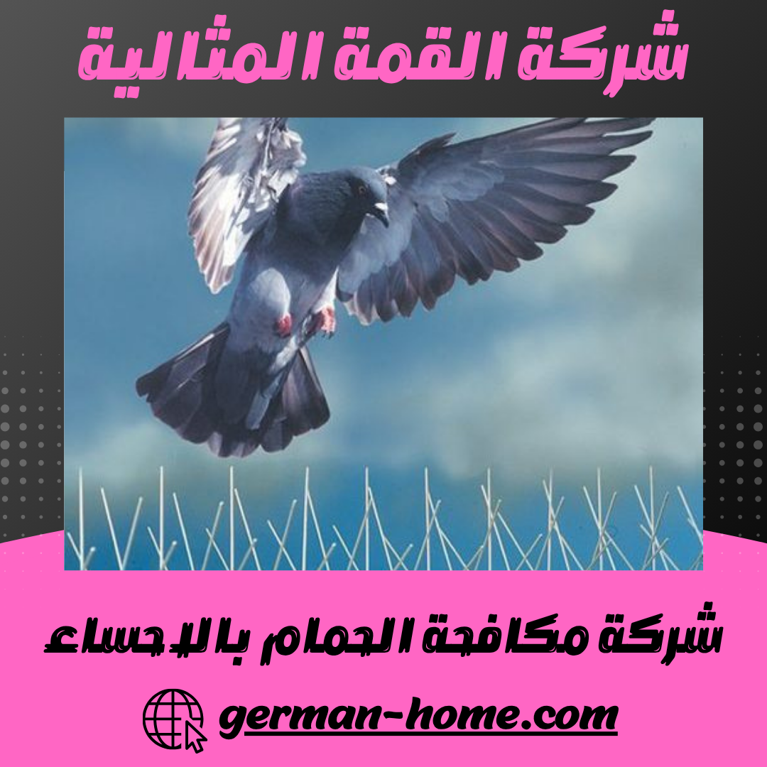 شركة مكافحة الحمام بالاحساء