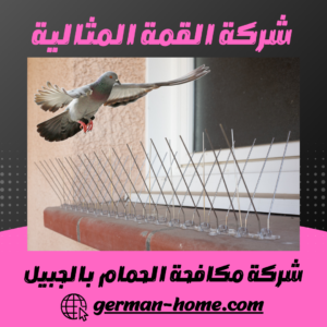 شركة مكافحة الحمام بالجبيل شركة مكافحة الحمام بالجبيل