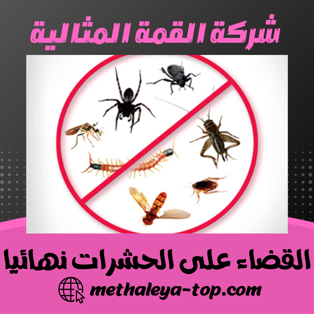 القضاء على الحشرات نهائيا