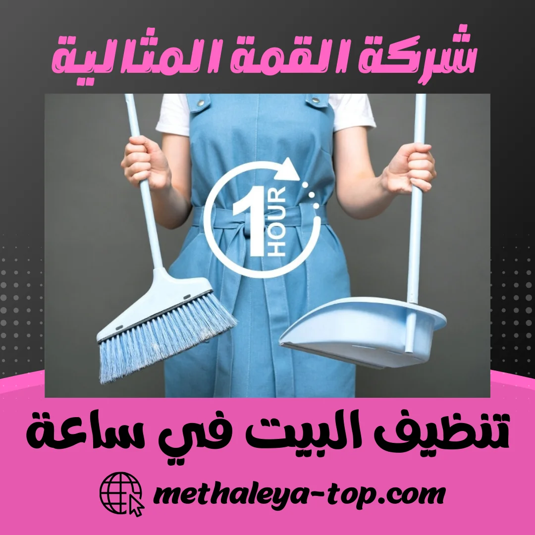 تنظيف البيت في ساعة
