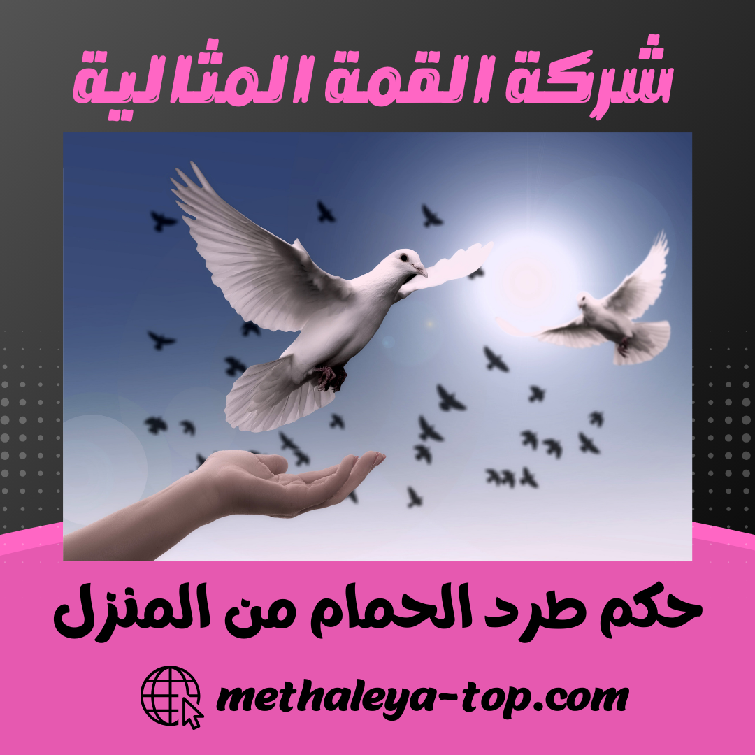 حكم طرد الحمام من المنزل