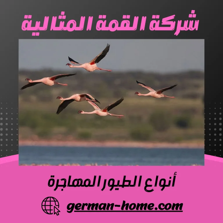 أنواع الطيور المهاجرة