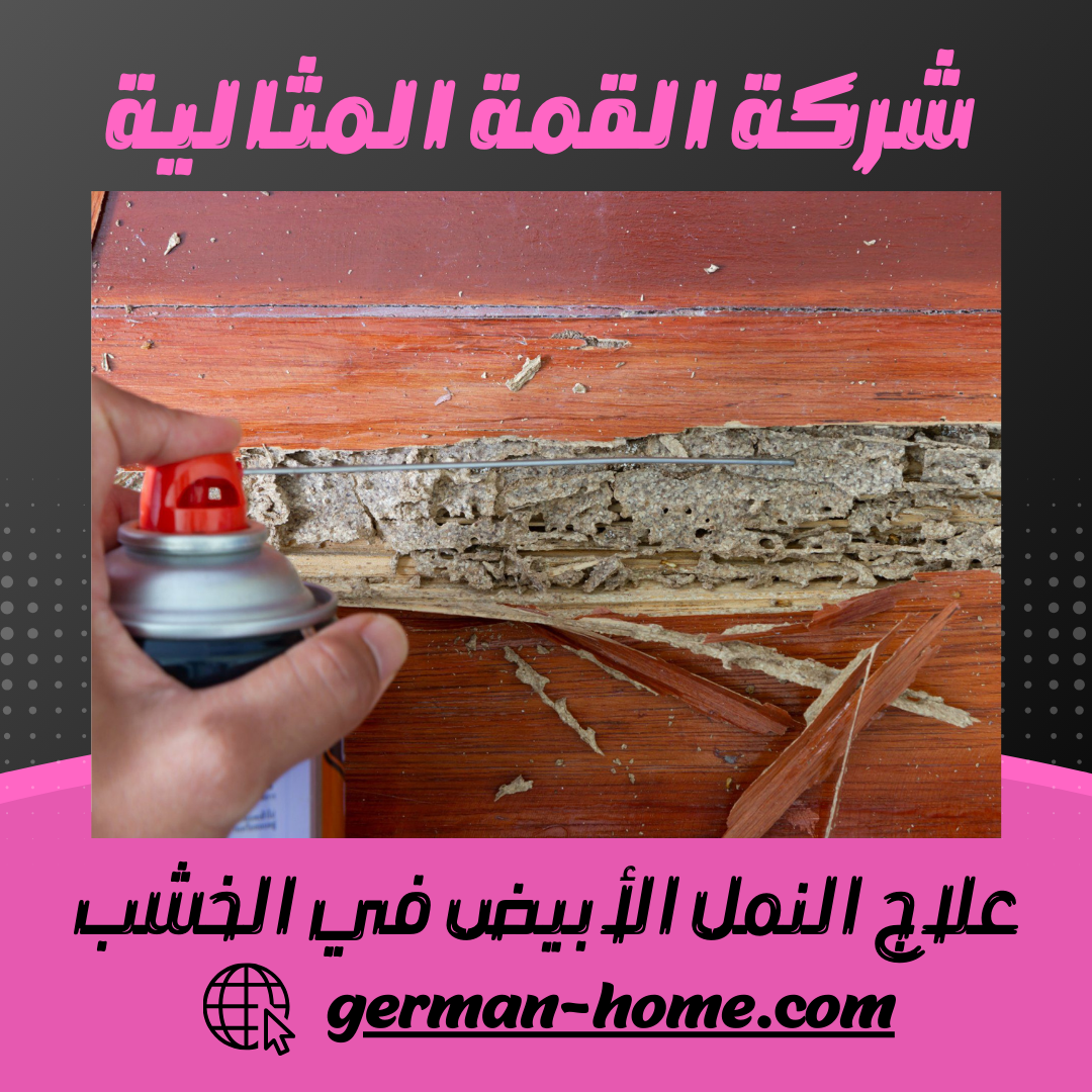 علاج النمل الأبيض في الخشب 4 علاج النمل الأبيض في الخشب