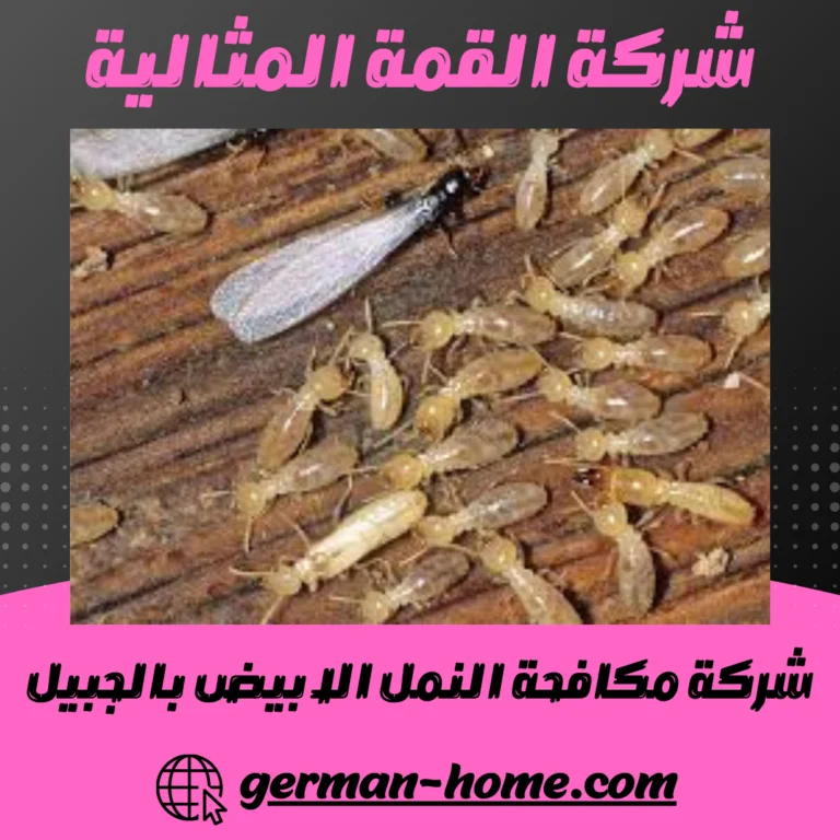 شركة مكافحة النمل الابيض بالجبيل