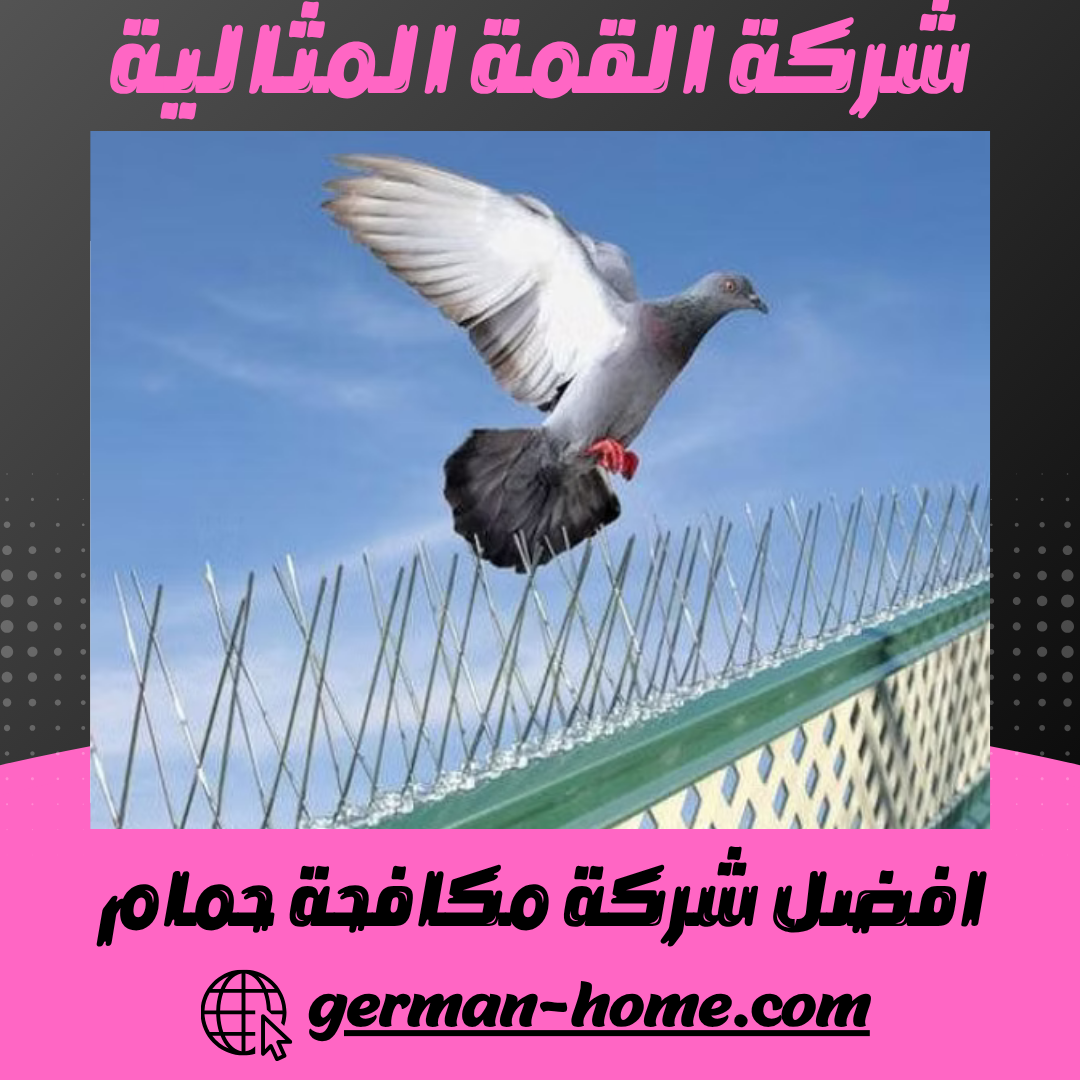 أفضل 7 طرق لطرد الحمام نهائياً | دليل شركة مكافحة حمام 1 افضل شركة مكافحة حمام
