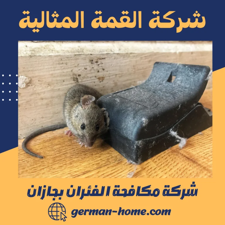 شركة مكافحة الفئران بجازان