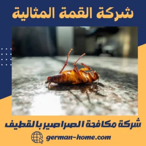 شركة مكافحة الصراصير بالقطيف مكافحة صراصير المطبخ والحمام من البيت الألماني بالقطيف