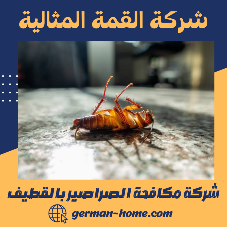 شركة مكافحة الصراصير بالقطيف