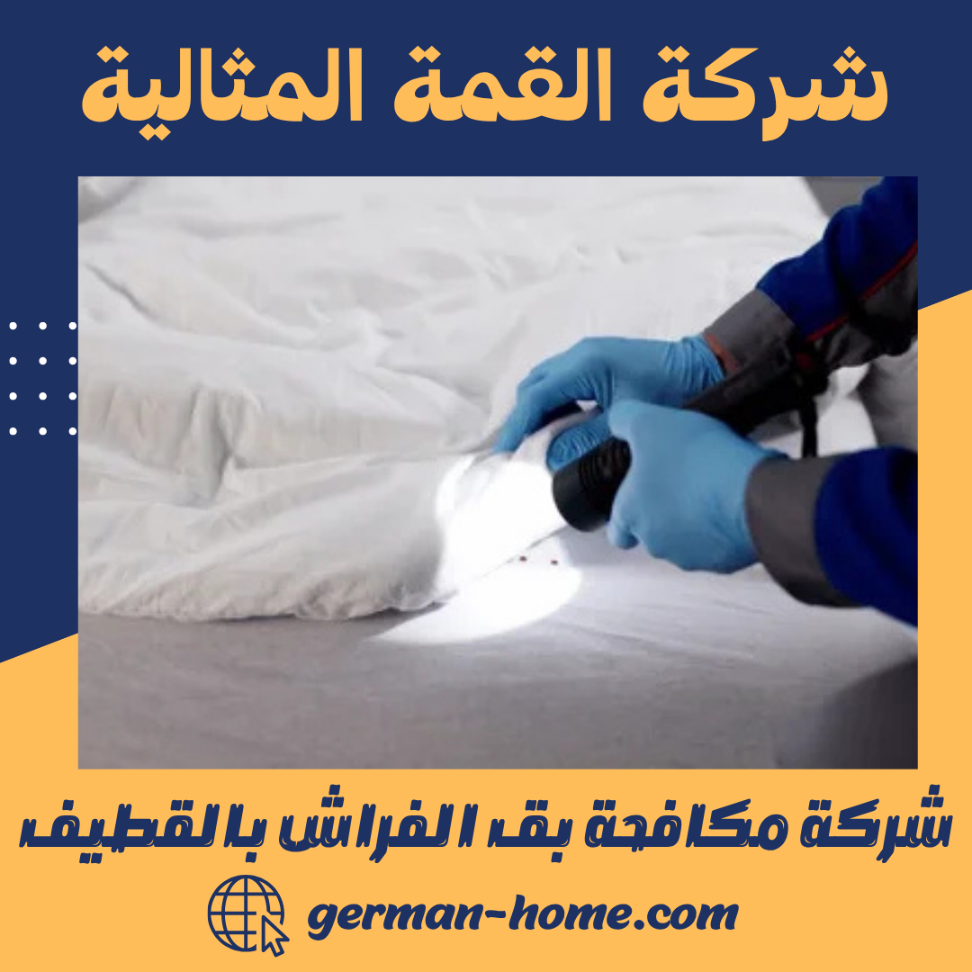 شركة مكافحة بق الفراش بالقطيف 0570110491 البيت الألماني 7 شركة مكافحة بق الفراش بالقطيف