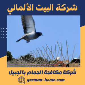 شركة مكافحة الحمام بالجبيل شركة مكافحة الحمام بالجبيل