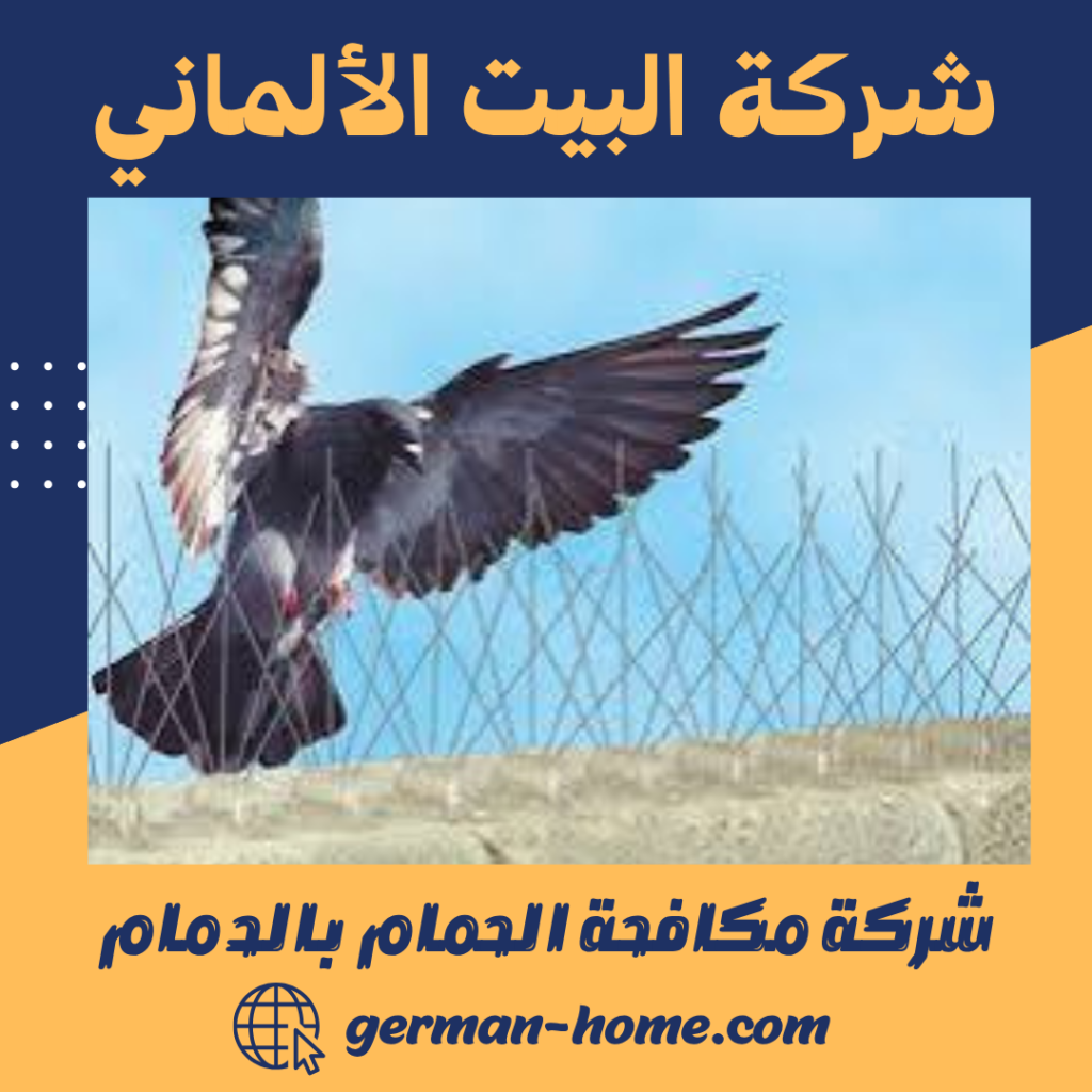 شركة مكافحة الحمام بالدمام