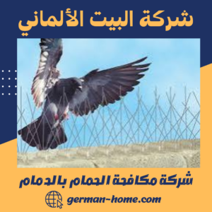 شركة مكافحة الحمام بالدمام
