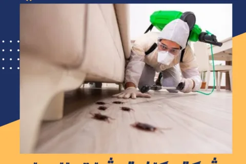 شركة مكافحة حشرات بالجبيل | البيت الألماني 0570110491 6 شركة مكافحة حشرات بالجبيل